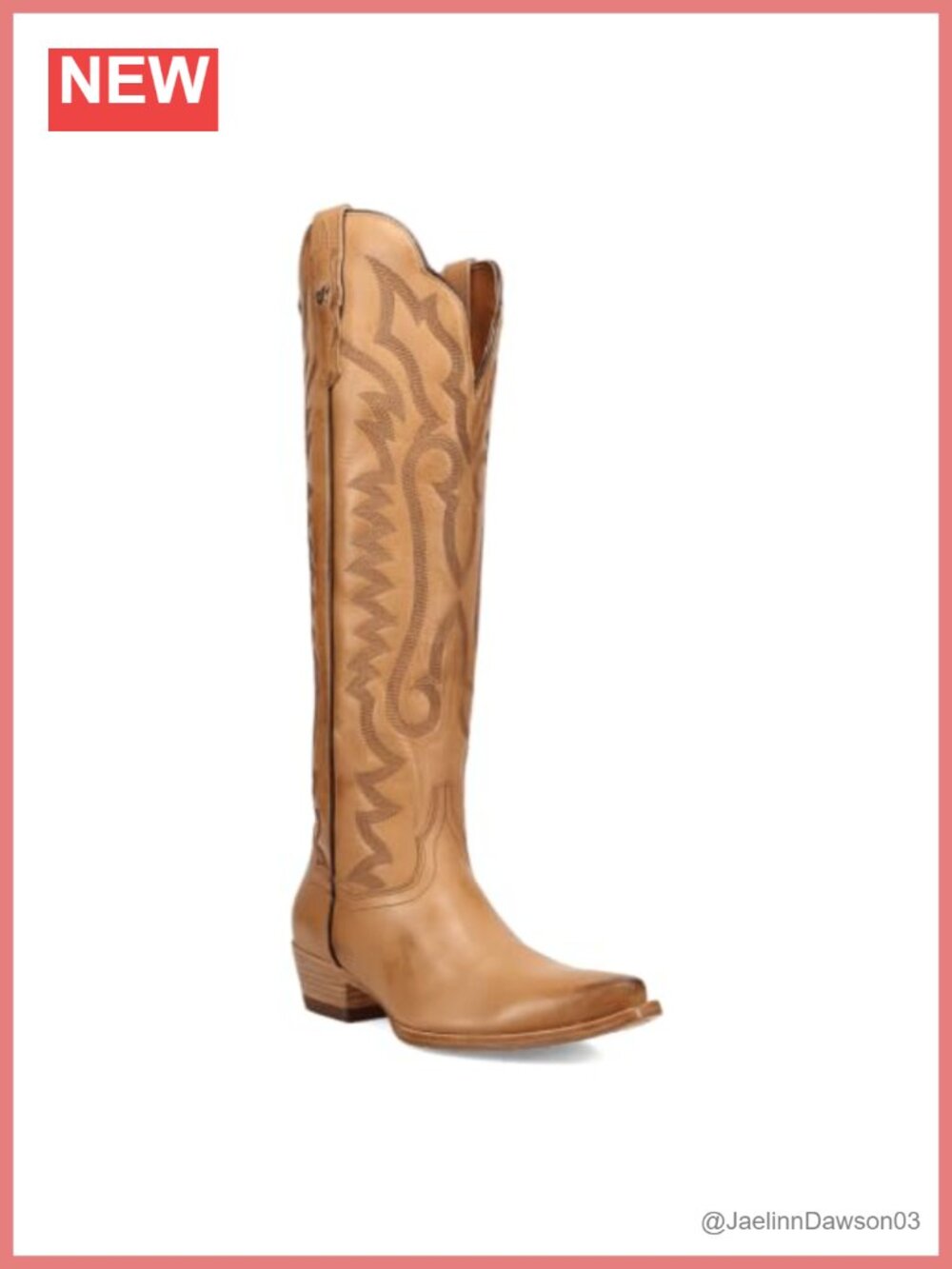 Dan Post Women's Leather Snip Toe Zippered Equestrian Boots
